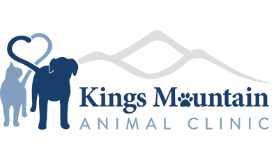 King's Mountain Animal Clinic-HeaderLogo